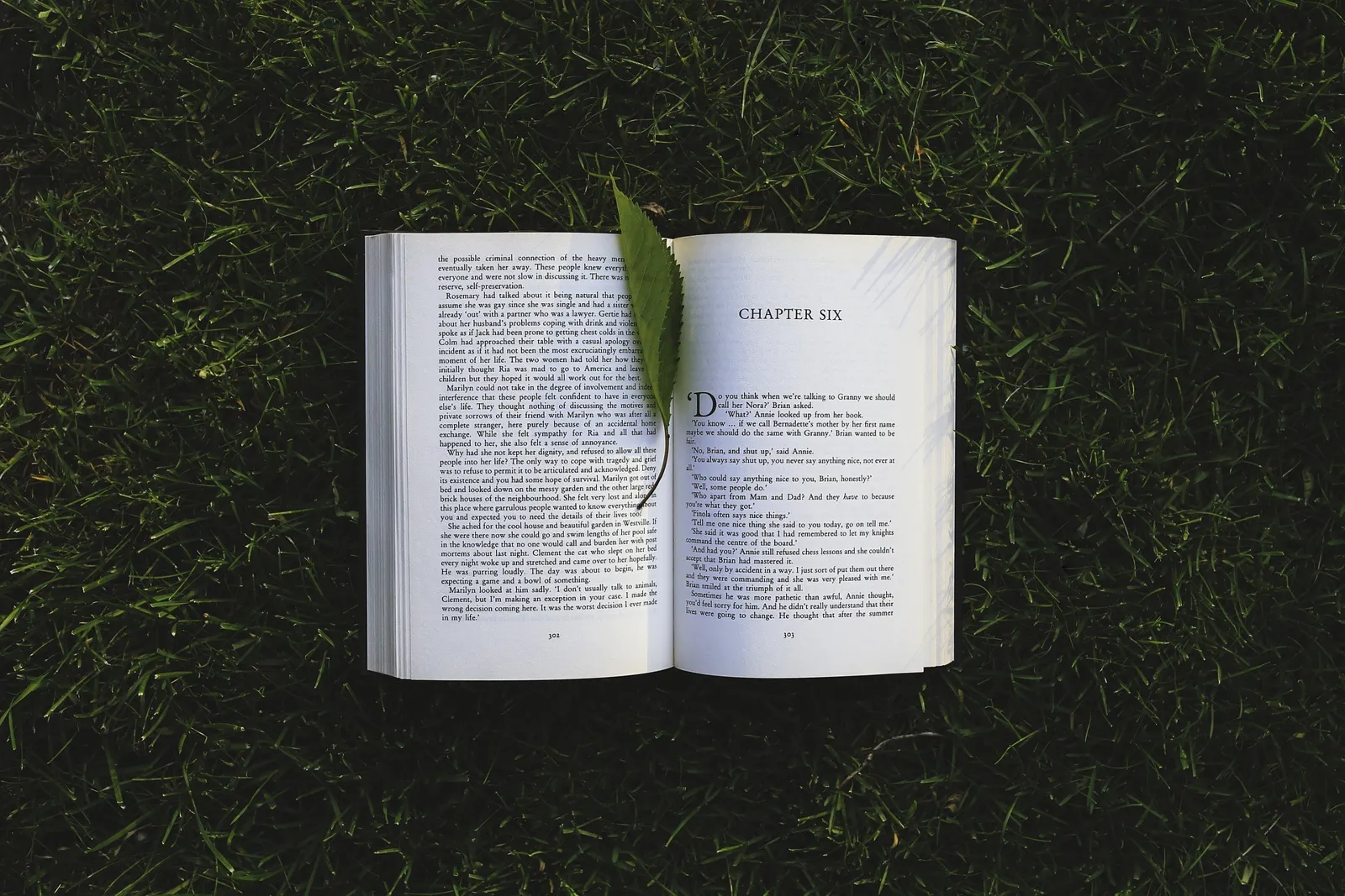 No One Told You the Book List for Improving Leadership Skills? I Will